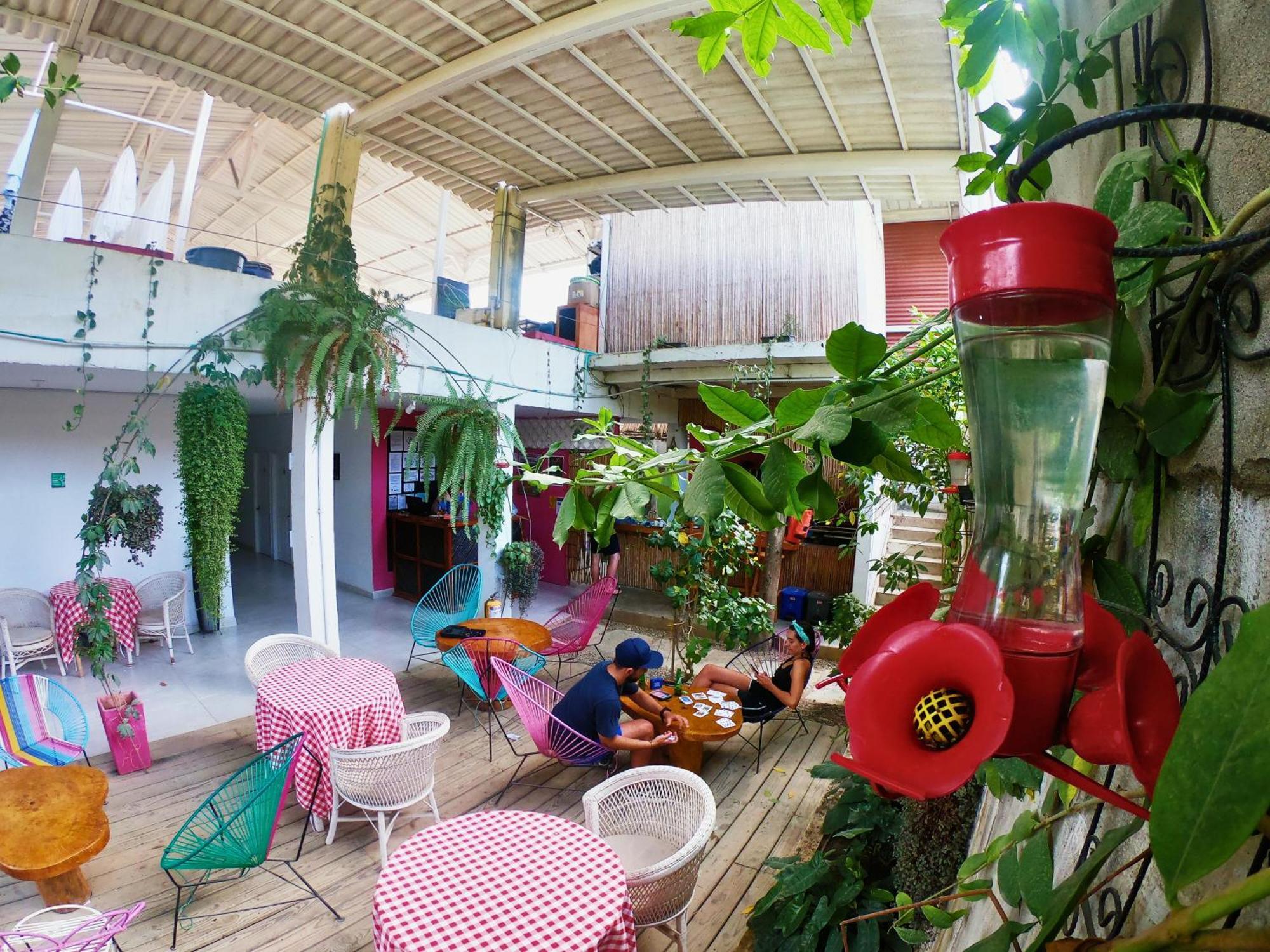 Casa Colibri Palomino Hotel Exterior photo