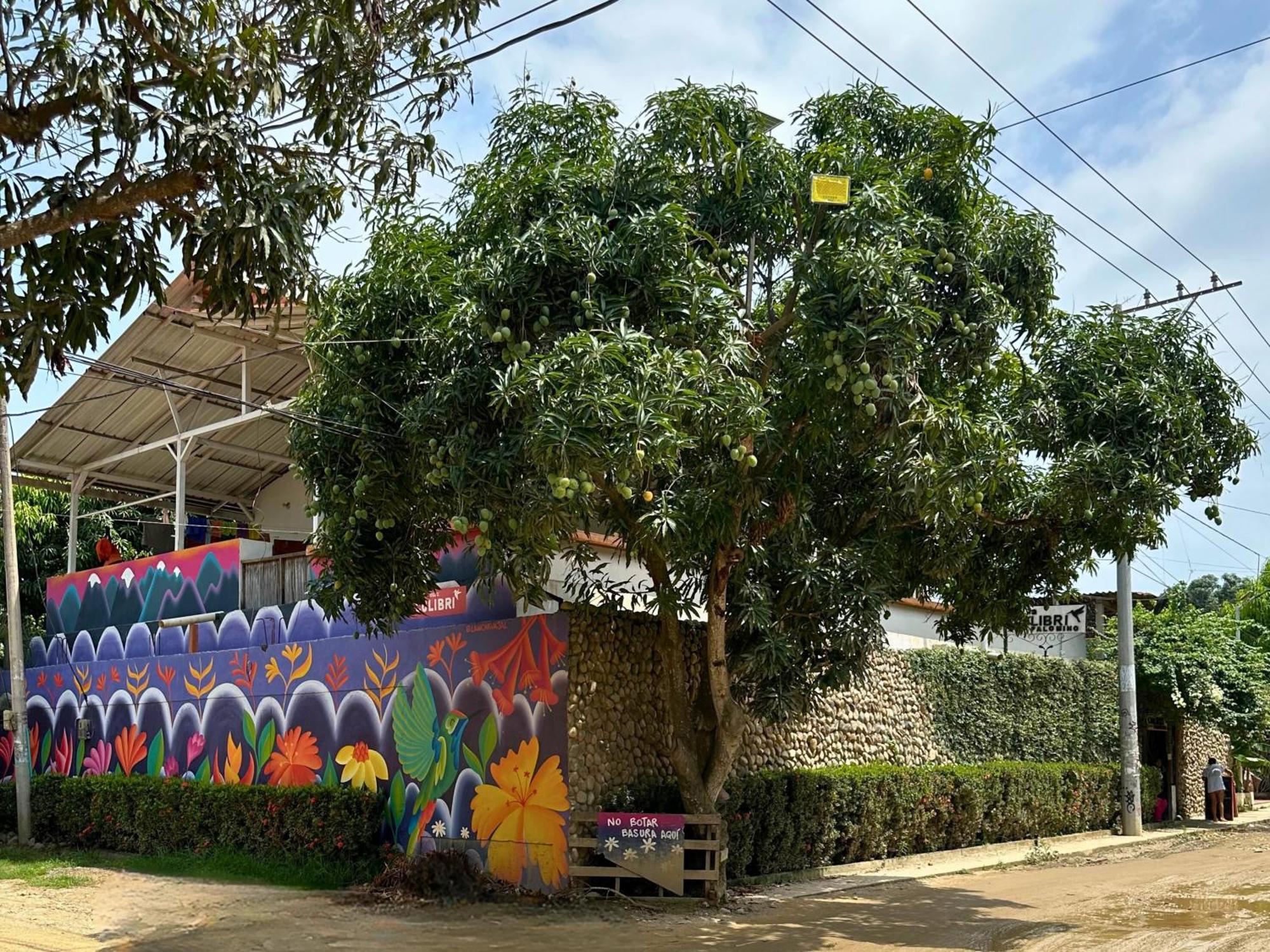 Casa Colibri Palomino Hotel Exterior photo